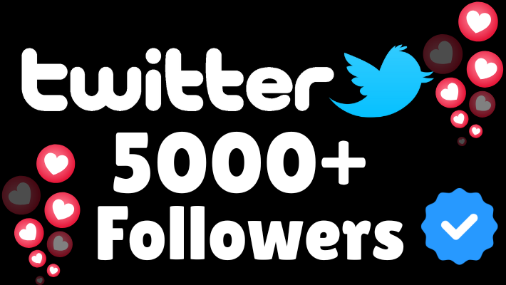 198463Lifetime Guaranteed Twitter Followers