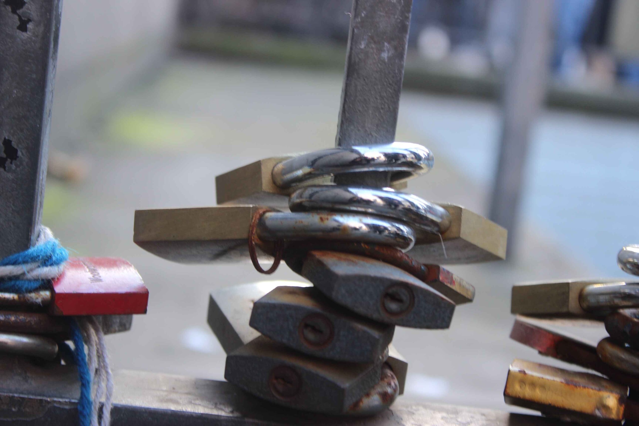 187036Blog Writer/Writer