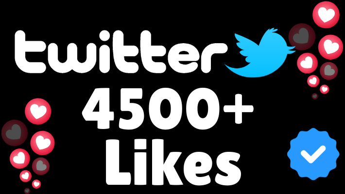 202987Lifetime Guaranteed Twitter Followers