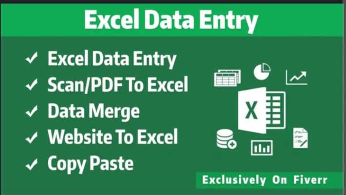 268580I will do data entry, Excel, Google Sheets, typing, PDF to Word, and web research