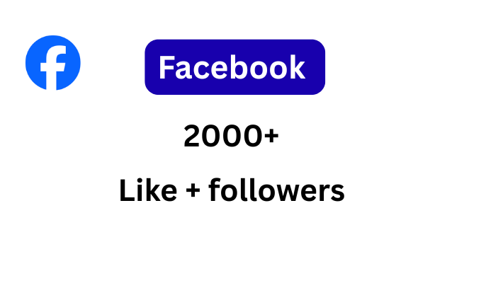244434You will get 500+ USA Organic Lifetime Guaranteed Facebook Page Likes or Followers