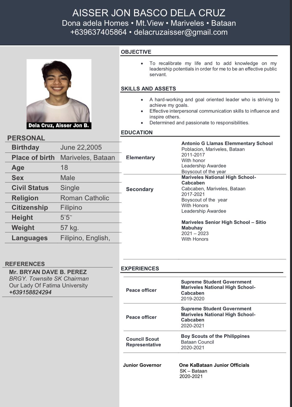 283542i will create you a professional CVT (Resume)