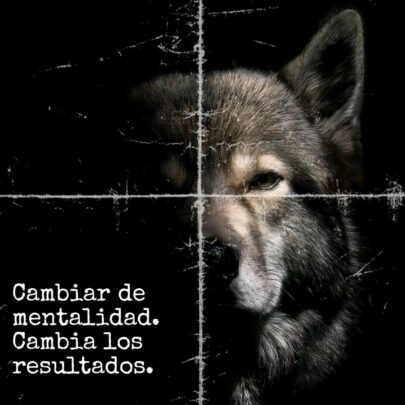 300222i will design canva ai automation ebook layout