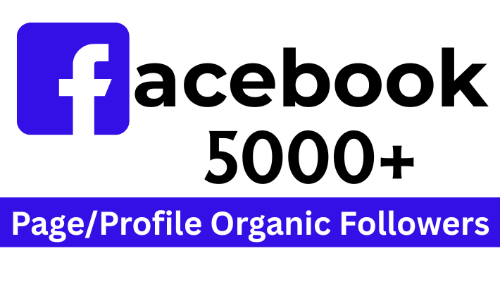 277031I will be Your Best Channel Growth Manager and YouTube Video SEO Expert