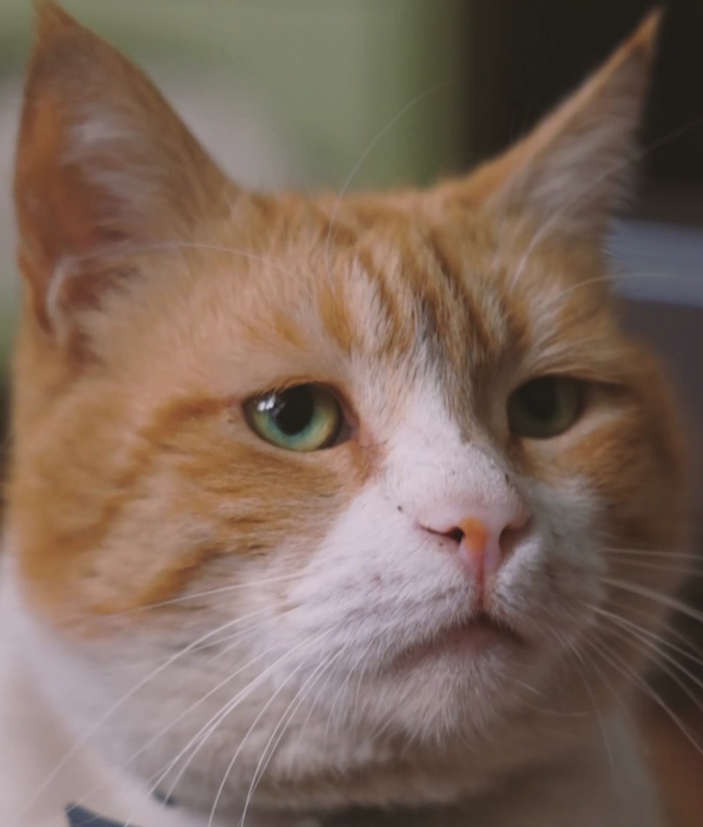 311068NEW GMAIL ACCOUNTS