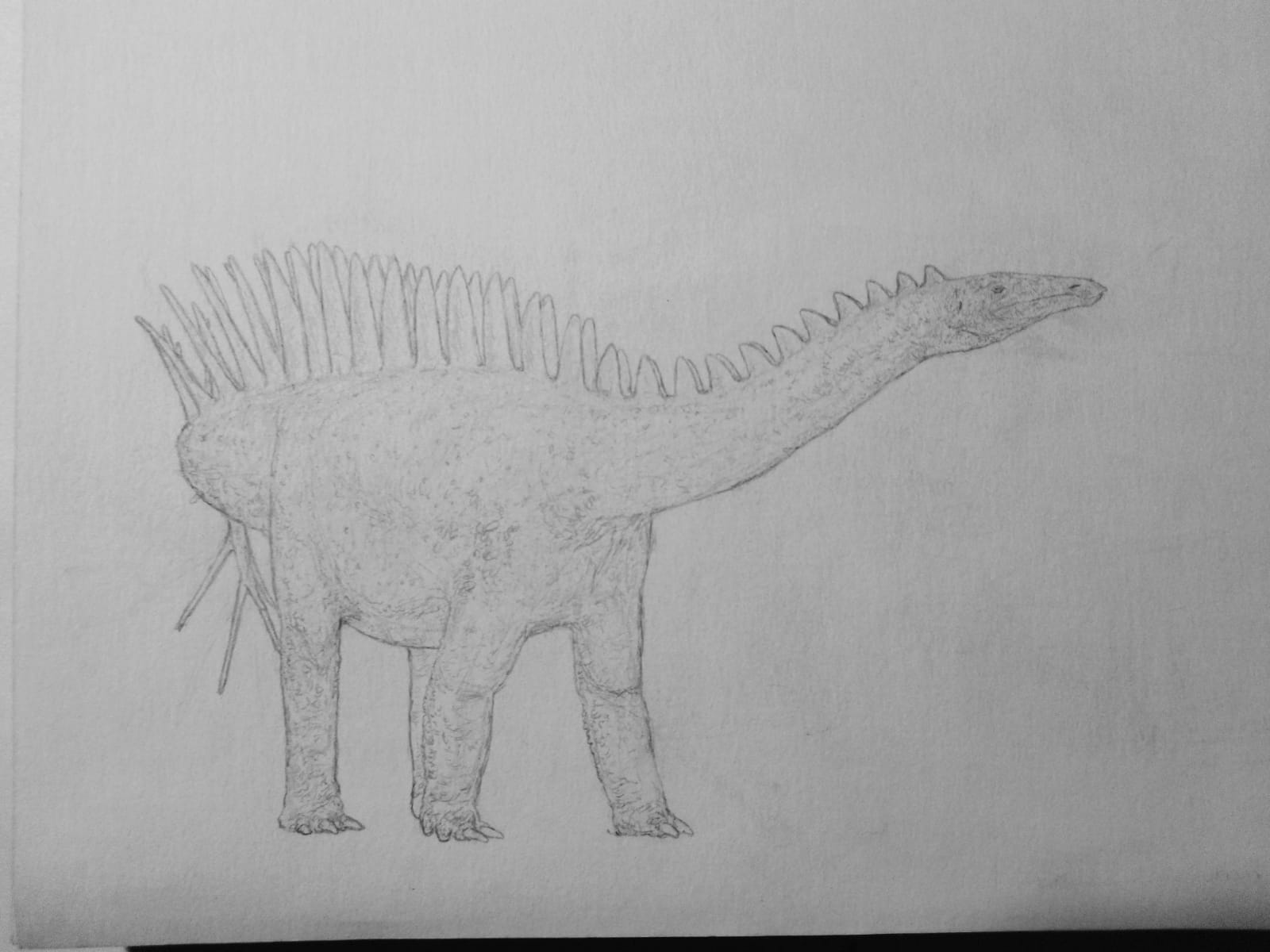 317372I will translate english to spanish or spanish to english texts