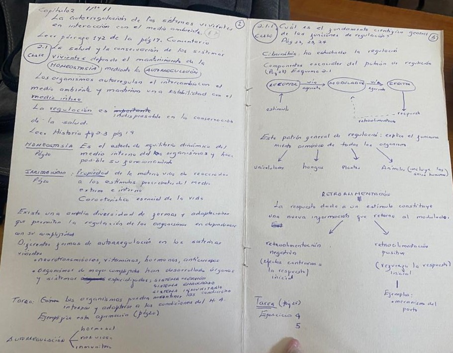 359946I will translate english to spanish or spanish to english texts