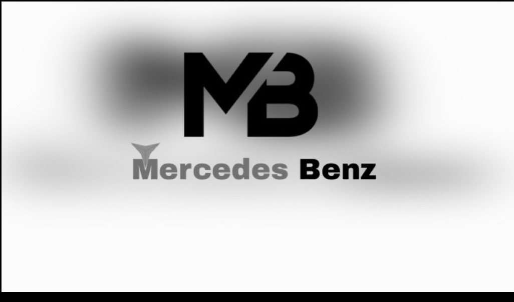 359533I will design a simple professional logo