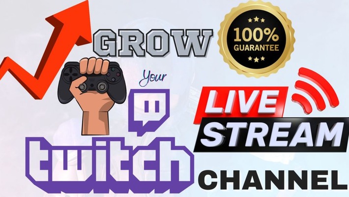 419454I will promote your twitch live stream to bring in more live viewers through embedding