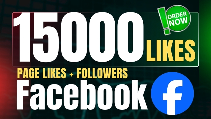 459284You Will Get 5000 Facebook real profile followers for public accounts