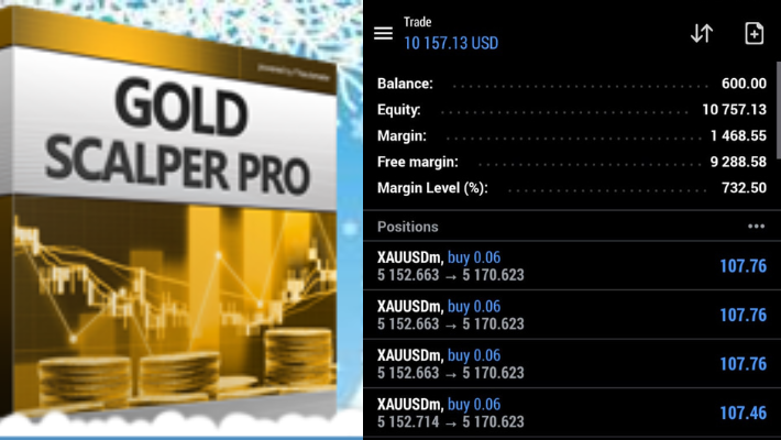 462075I will do profitable forex trading bot, forex bot, trading bot, gold bot, forex bot