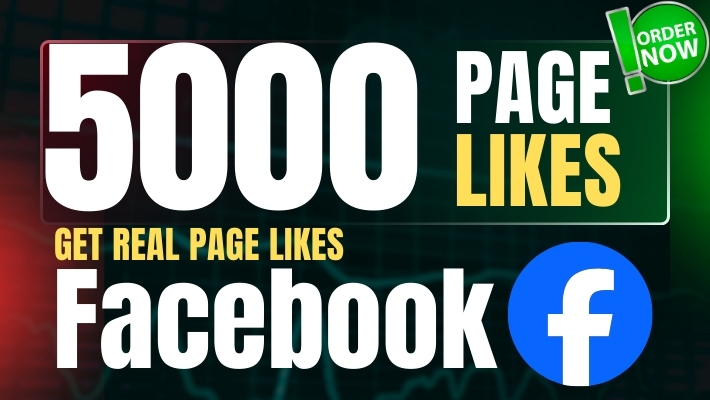 459175Deliver 2000 Real and Long-Lasting Instagram Followers from Global Accounts