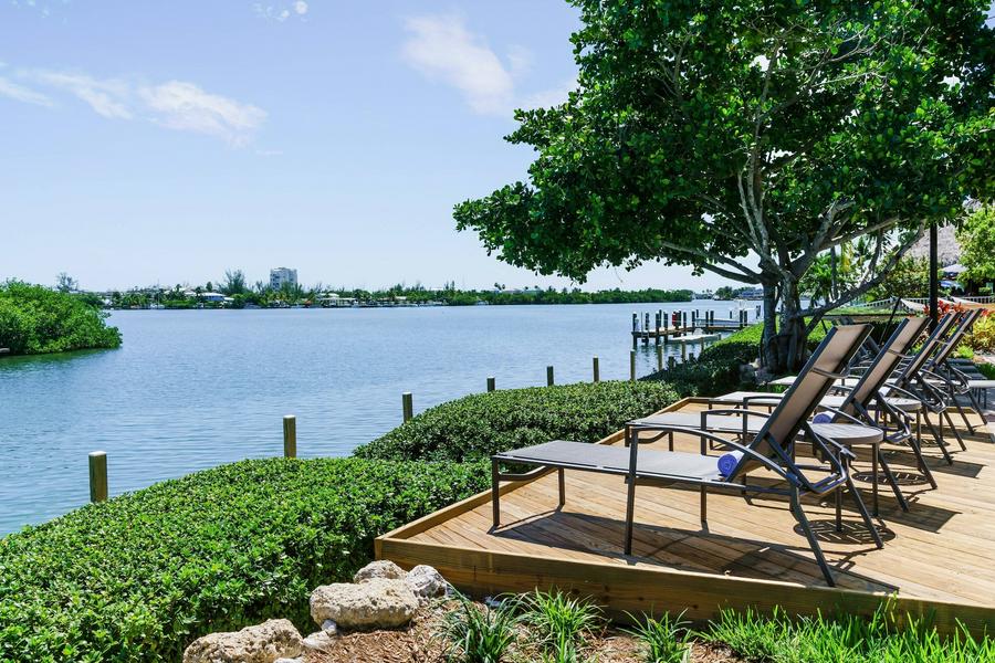 457643WIX / WORDPRESS Websites built / Revamp any website make it up to date with content