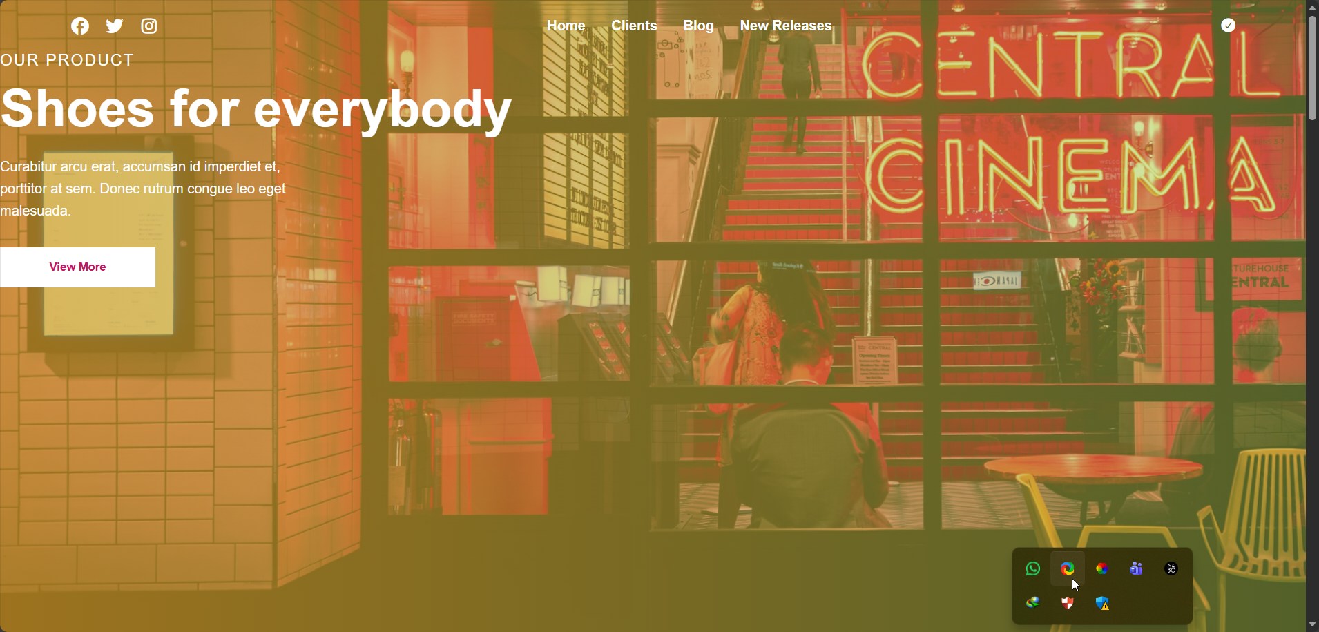 474976will develop a professional and responsive React JS website