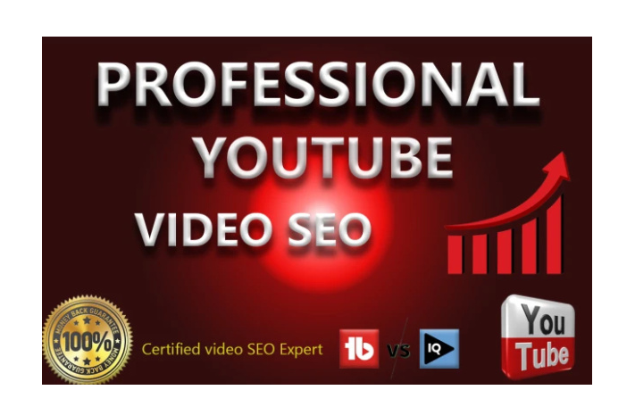 472335I will do organic youtube promotion with google ads