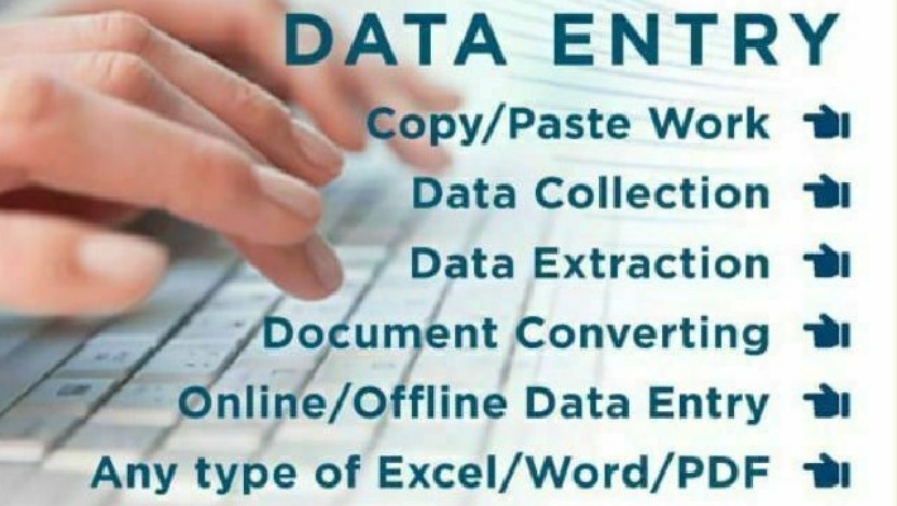 487939I will do professional data entry, copywriting, proofreading, and PDF to Word conversion